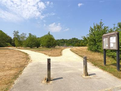 Picture 16